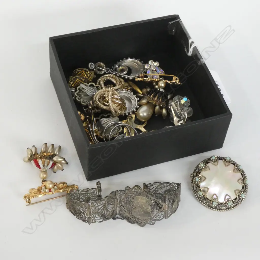 ASST. COSTUME EARRINGS ETC Image 1++