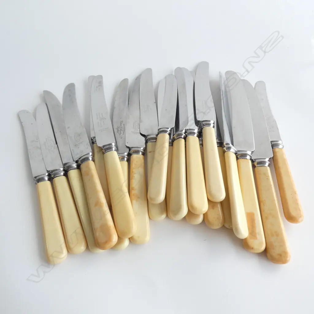 21 IVORINE 'BONE' HANDLED KNIVES Image 1++