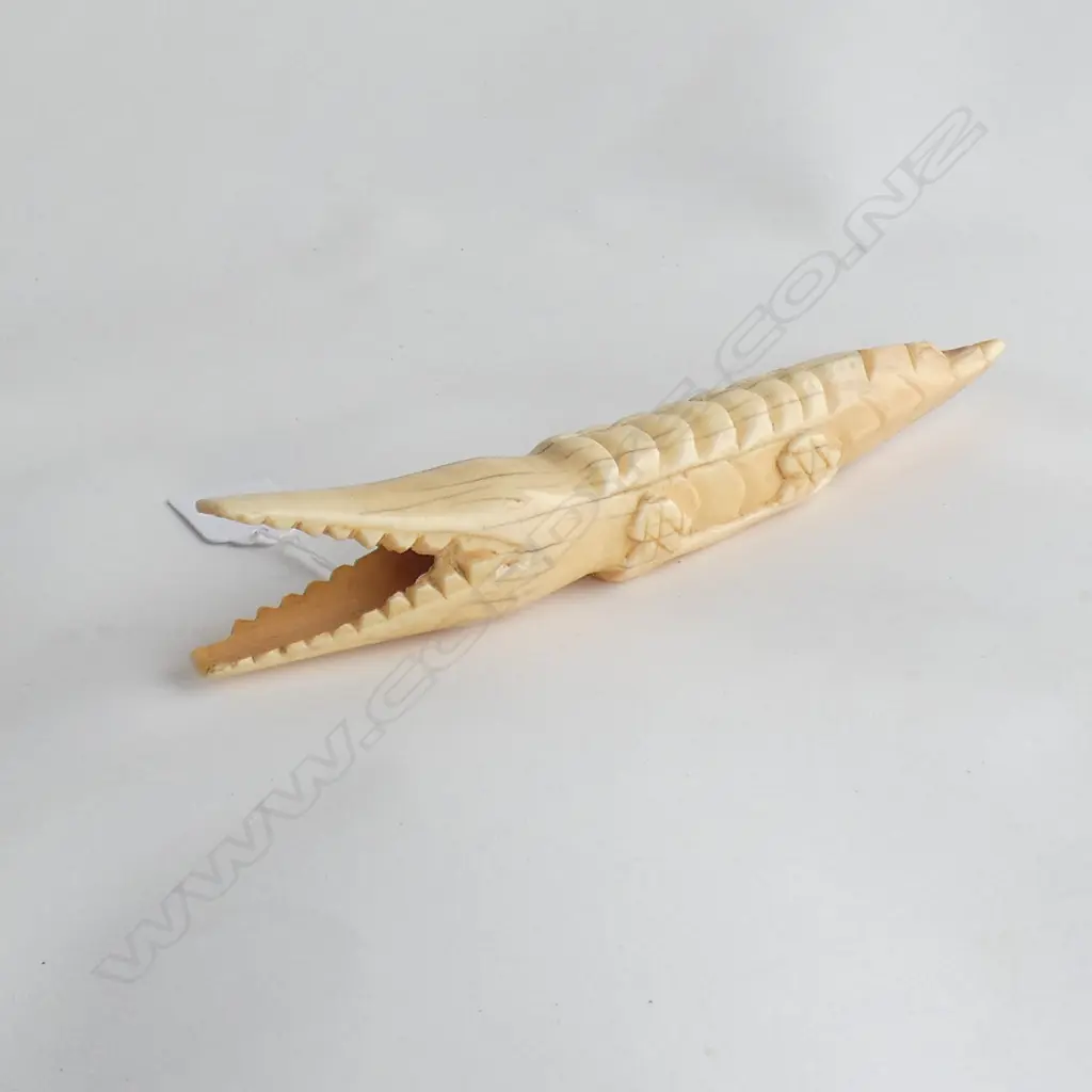 CARVED TUSK ALLIGATOR L.240mm Image 1++