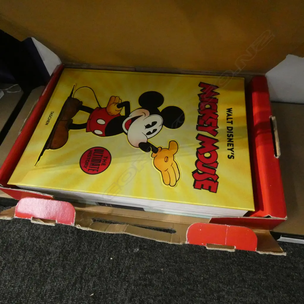 LGE MICKEY MOUSE BOOK IN BOX - BOX HAS AGE WEAR & TEAR Image 1++