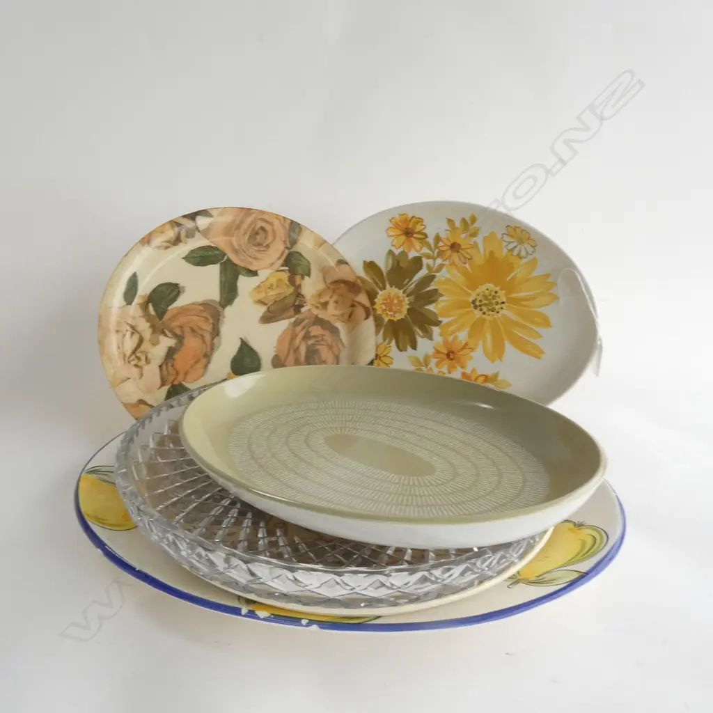 6 ASST LGE PLATES & PLATTERS INC 3 CROWN LYNN; TOPAZ, CAMILLE & EGMONT Image 1++