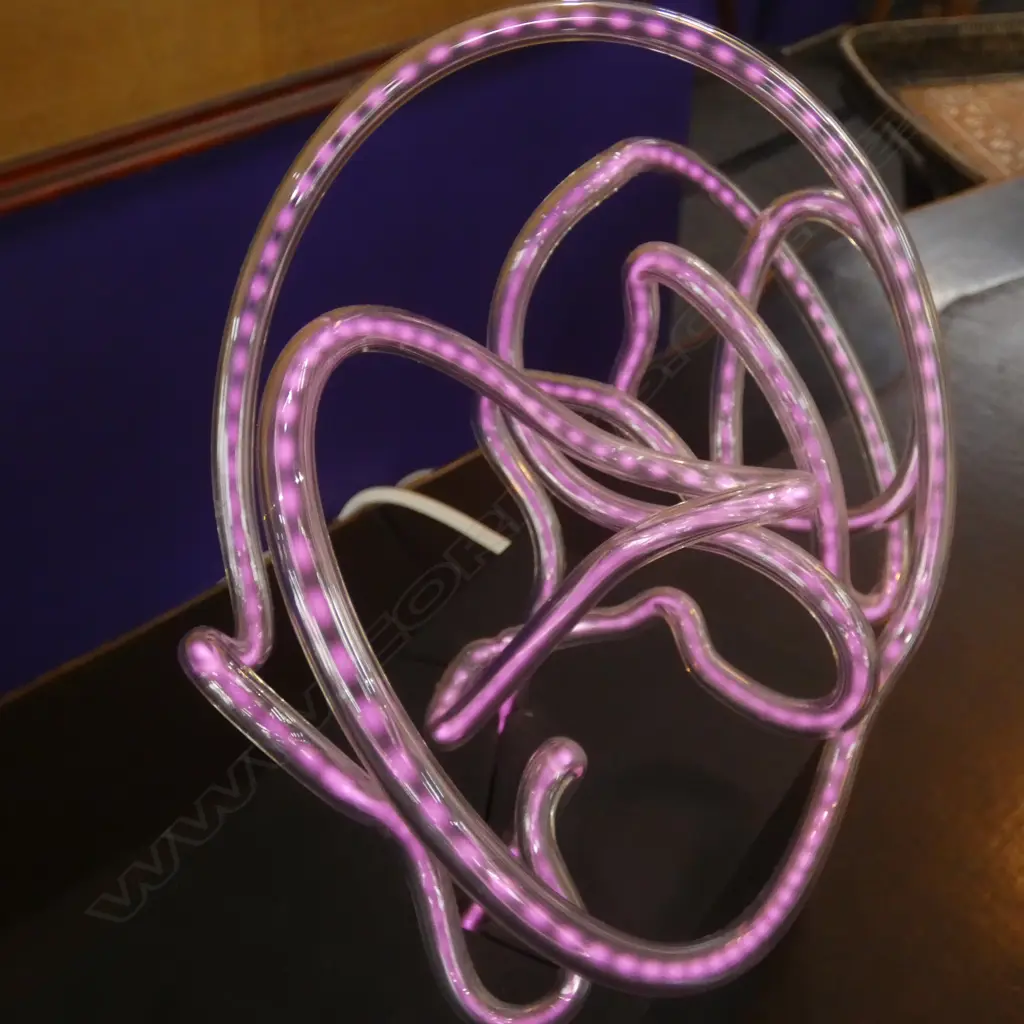 NEON TUBULAR TABLE LAMP Image 1++