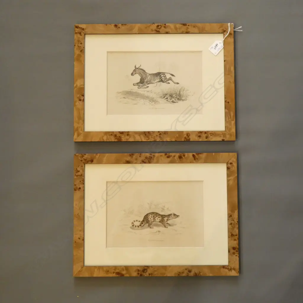 PR VINTAGE ANIMAL PRINTS (225 x 150mm.) + DONNA LIPINSKI 'COASTAL VISION'  (610 x 305mm._ Image 1++