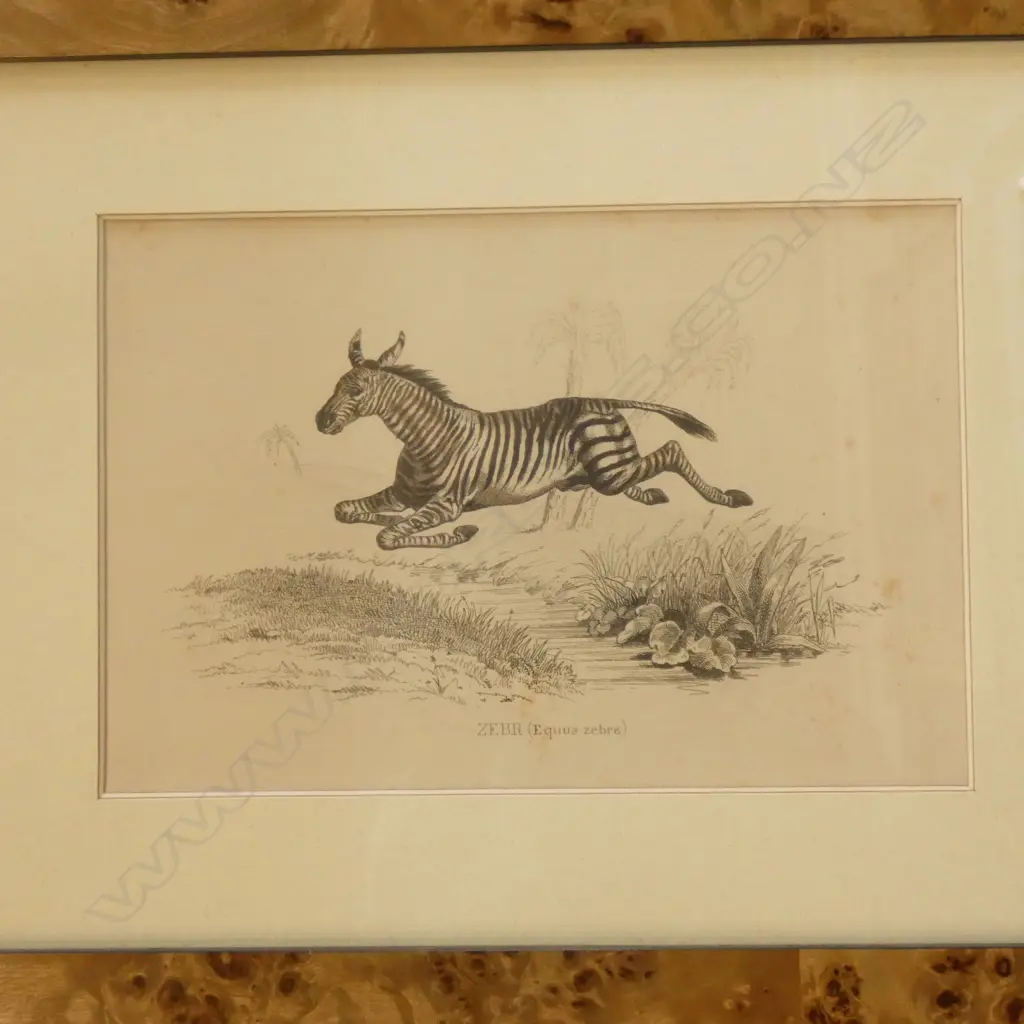 PR VINTAGE ANIMAL PRINTS (225 x 150mm.) + DONNA LIPINSKI 'COASTAL VISION'  (610 x 305mm._ Image 1++
