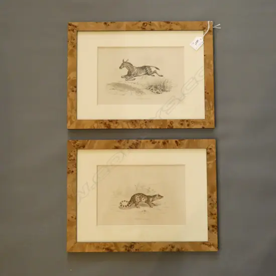 PR VINTAGE ANIMAL PRINTS (225 x 150mm.) + DONNA LIPINSKI 'COASTAL VISION'  (610 x 305mm._