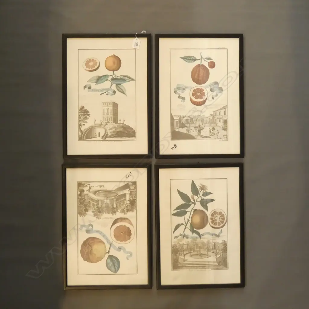 SET 4 BLACK FRAMED FRUIT & SCENE PRINTS 315 x 190mm. Image 1++