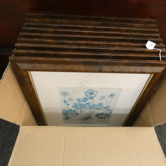 BOX OF 9 FRAMED PRINTS