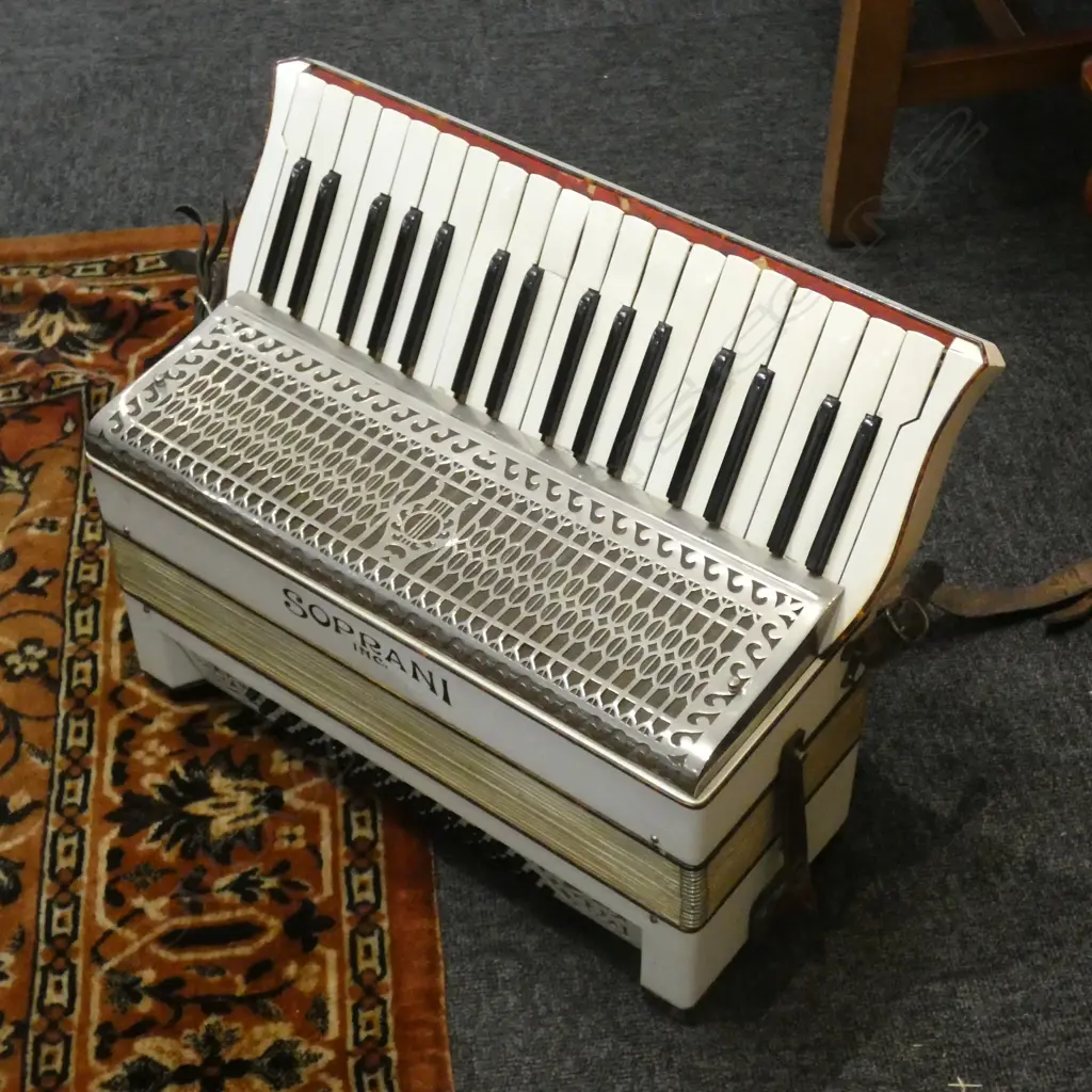 TWO PIANO ACCORDIONS Image 1++