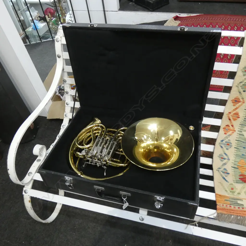 FRENCH HORN IN CASE Image 1++