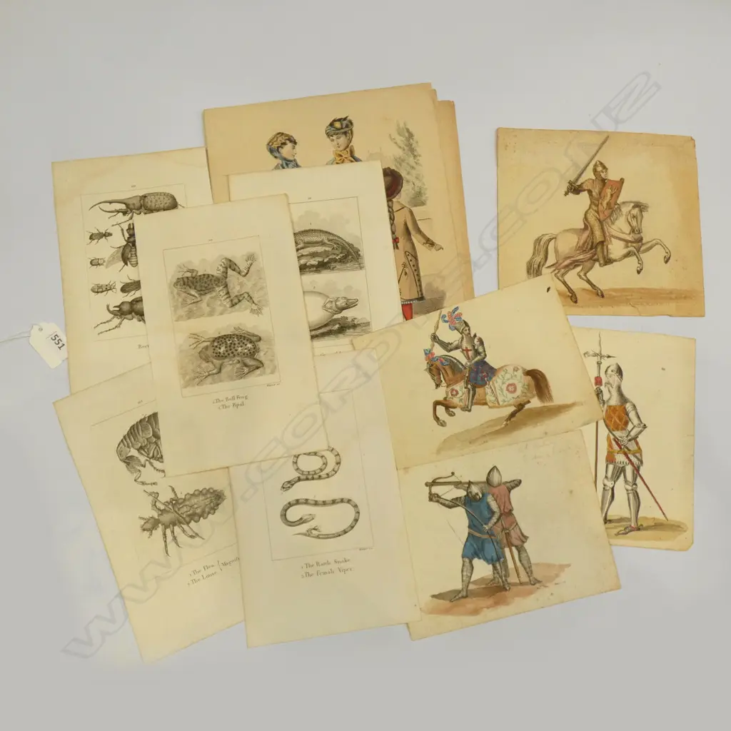 ASST. PRINTS; LADIES FASHIONS 1860s, ANIMALS (FLEAS ETC), 4x SOLDIERS IN ARMOUR W/Cs Image 1++