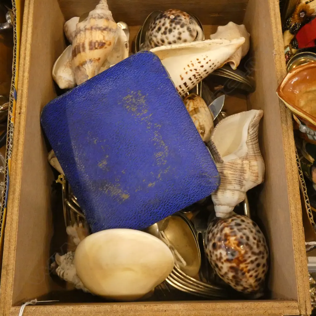 BOX LOT EP CUTLERY, FLYING CAP, SHELLS ETC Image 1++