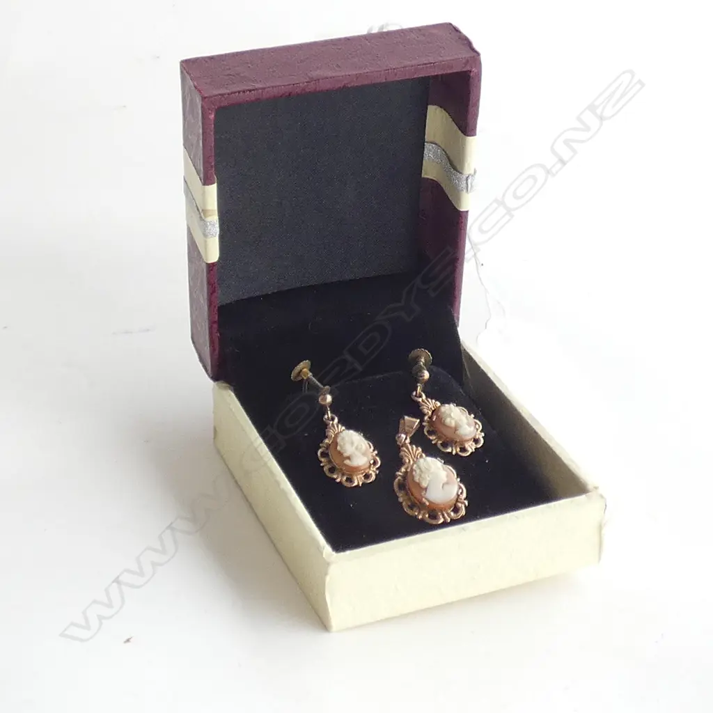 9ct GOLD FRAMED CAMEO PENDANT AND EARRINGS Image 1++