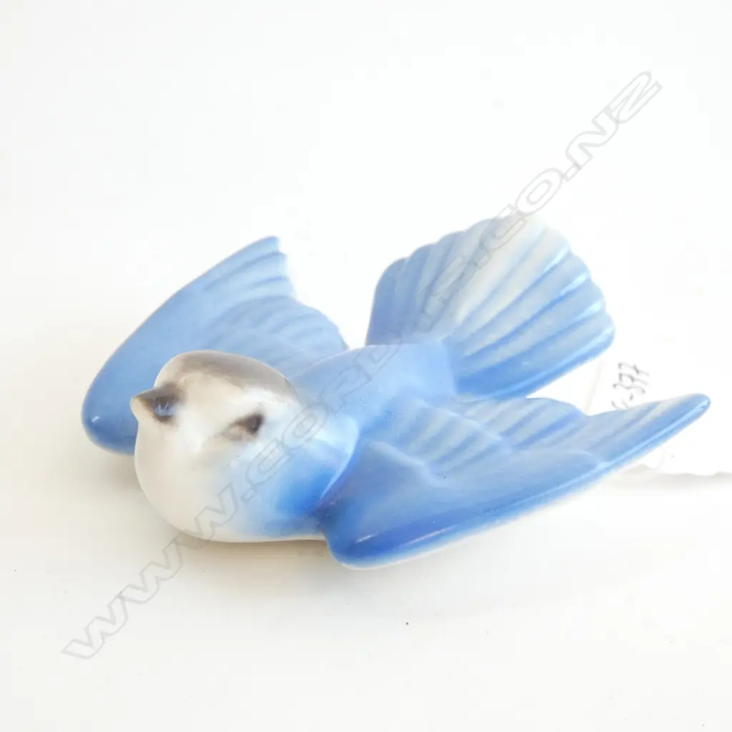 A SMALL POOLE BLUEBIRD Image 1++