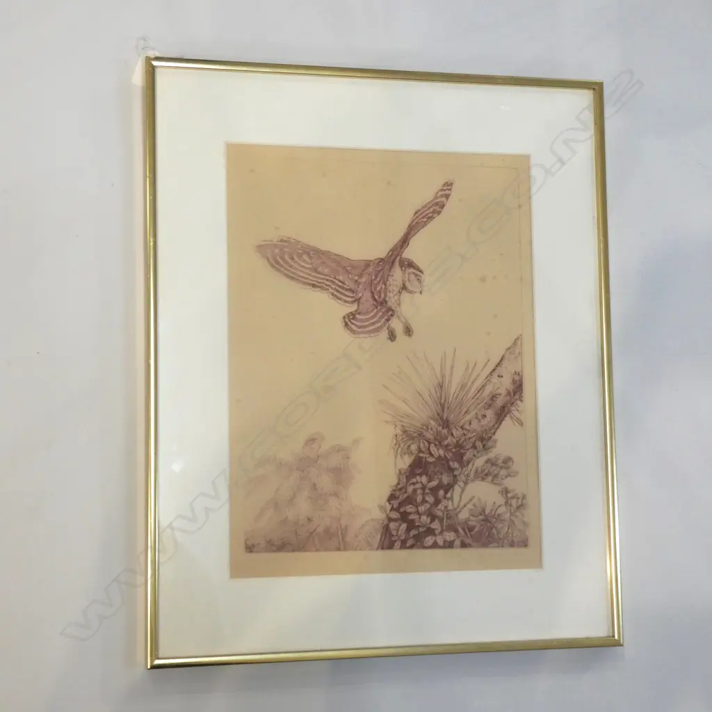 RUSSELL M. JACKSON 'N.Z. WAIPOU FOREST + MOORPORK OWL' ENGRAVING 3/75 385x290mm Image 1++