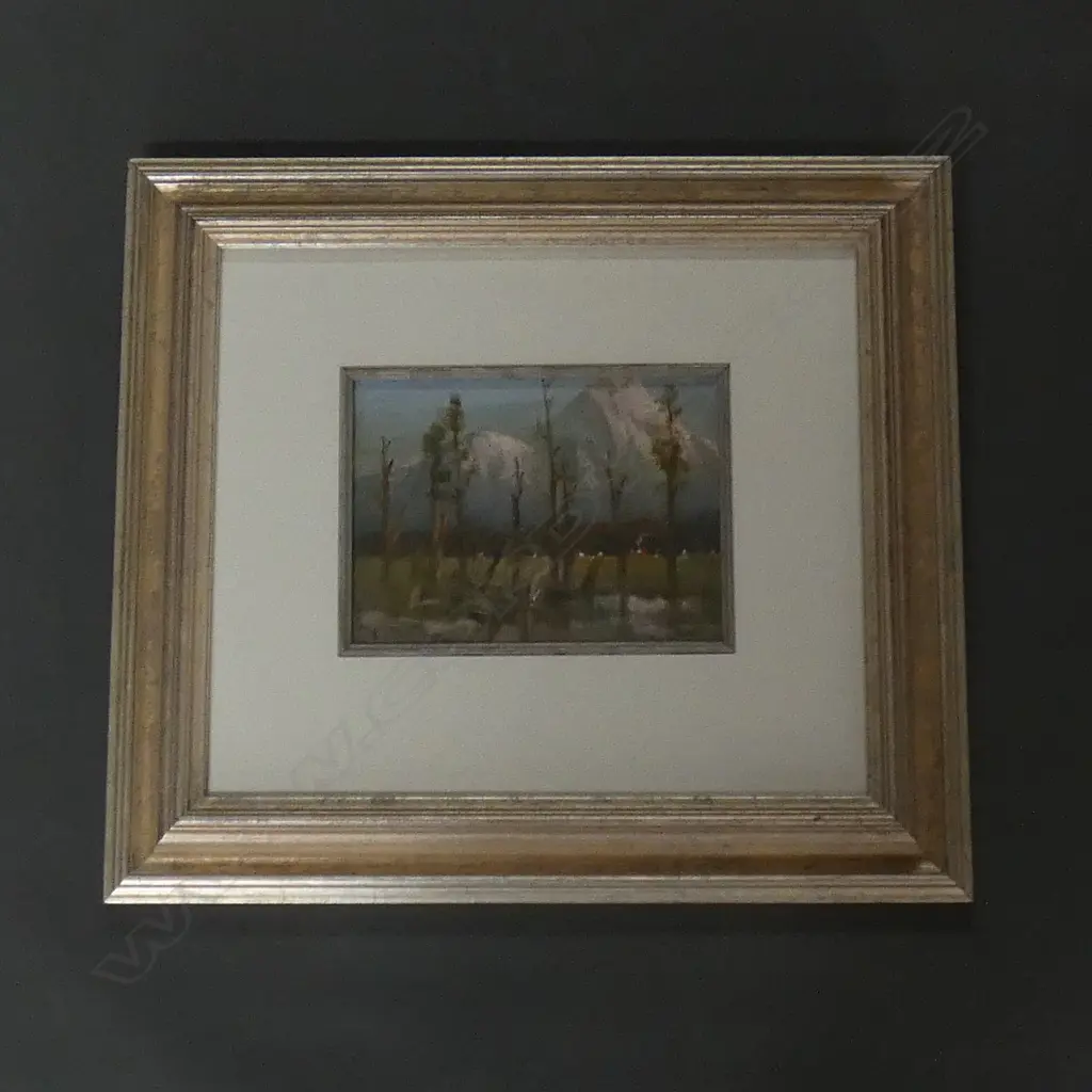 FRAMED J. D. PERROTT SOUTHER ALPS Image 1++