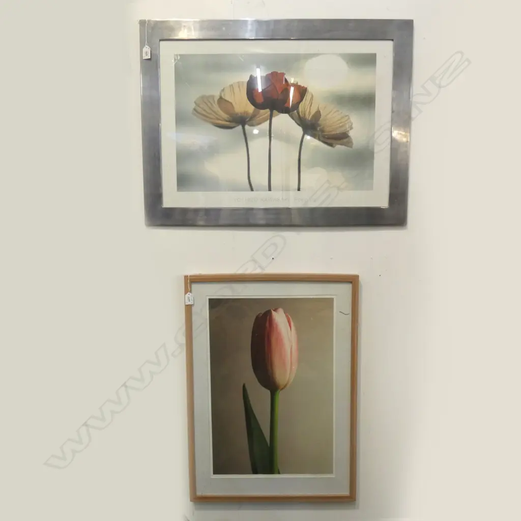 2 ART PRINTS; YOSHIZO KAWASAKI POPPIES + JEFFREY KIRBY TULIP 2/5 565x380mm Image 1++