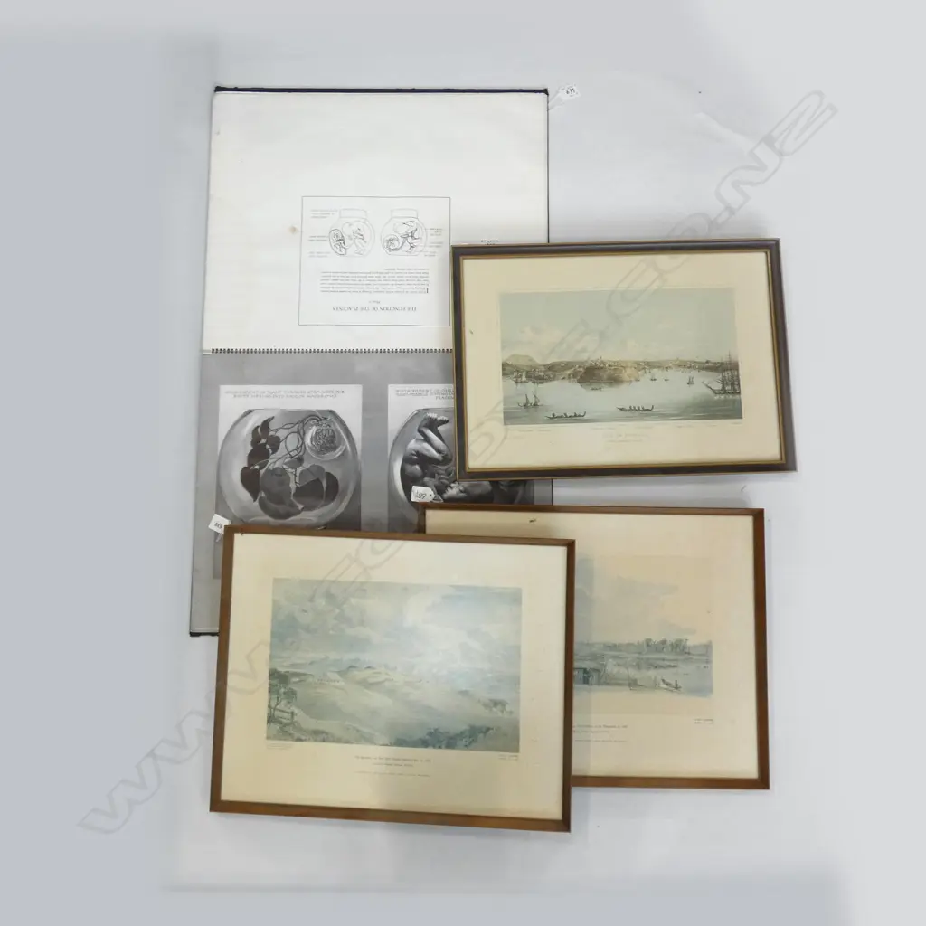 DICKINSON-BELSKIE 'BIRTH ATLAS' + 3 ALEXANDER TURNBULL LANDSCAPE PRINTS Image 1++