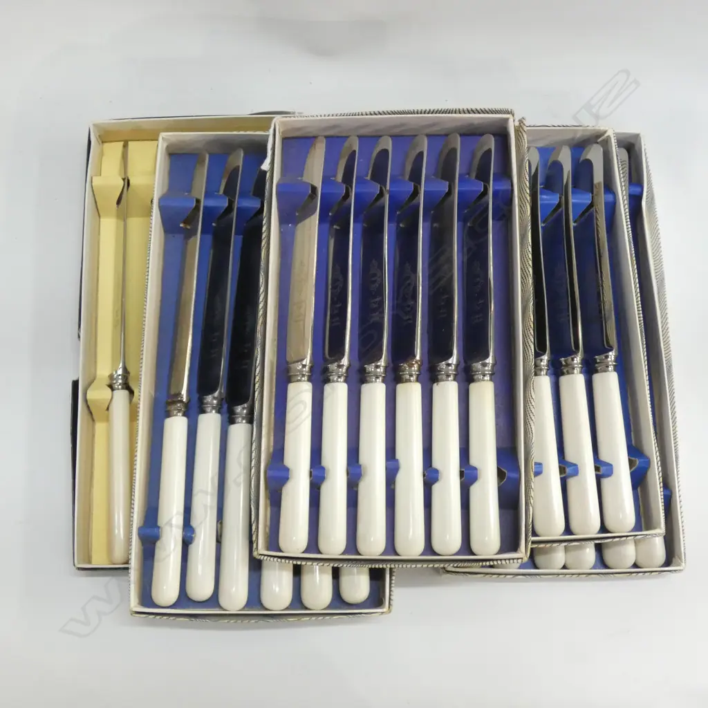 5 BOXES OF 6 IVORINE 'BONE' HANDLED KNIVES Image 1++