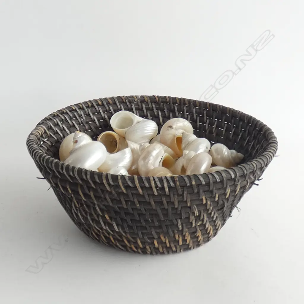 BASKET OF SHELLS  Image 1++