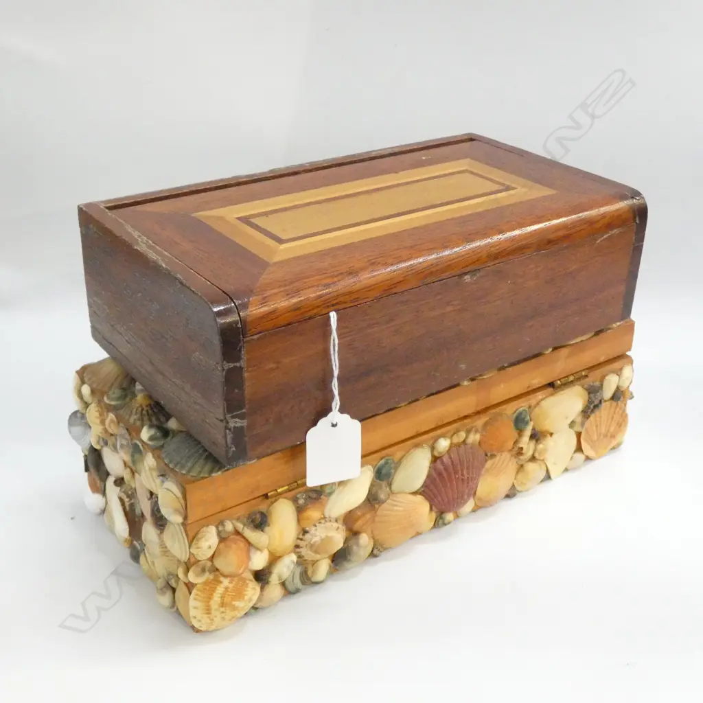 2 BOXES SHELL & INLAID 280MM Image 1++