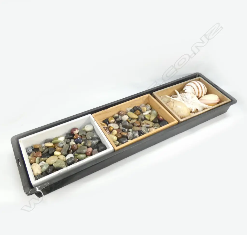 TRAY OF ASST. POLISHED STONES, SHELLS ETC Image 1++