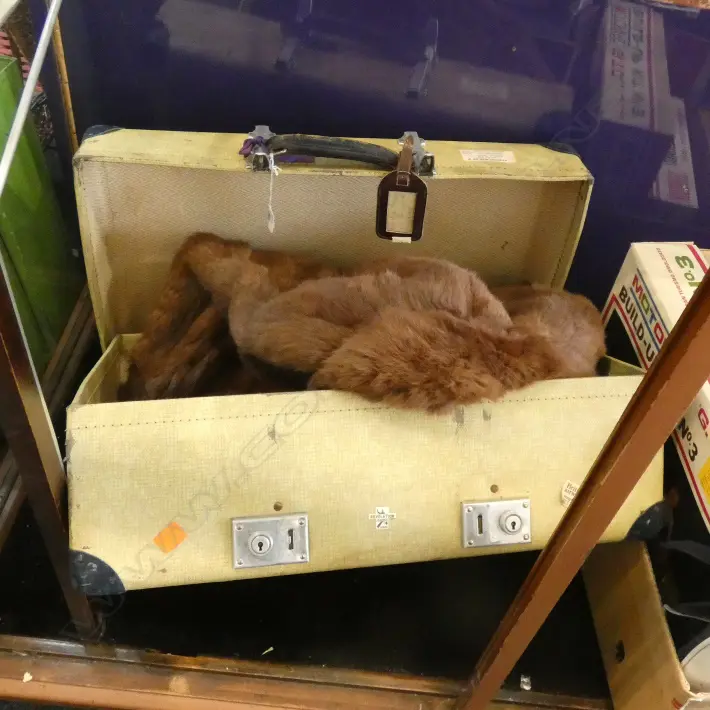 VINTAGE SUITCASE w. FUR JACKET Image 1++