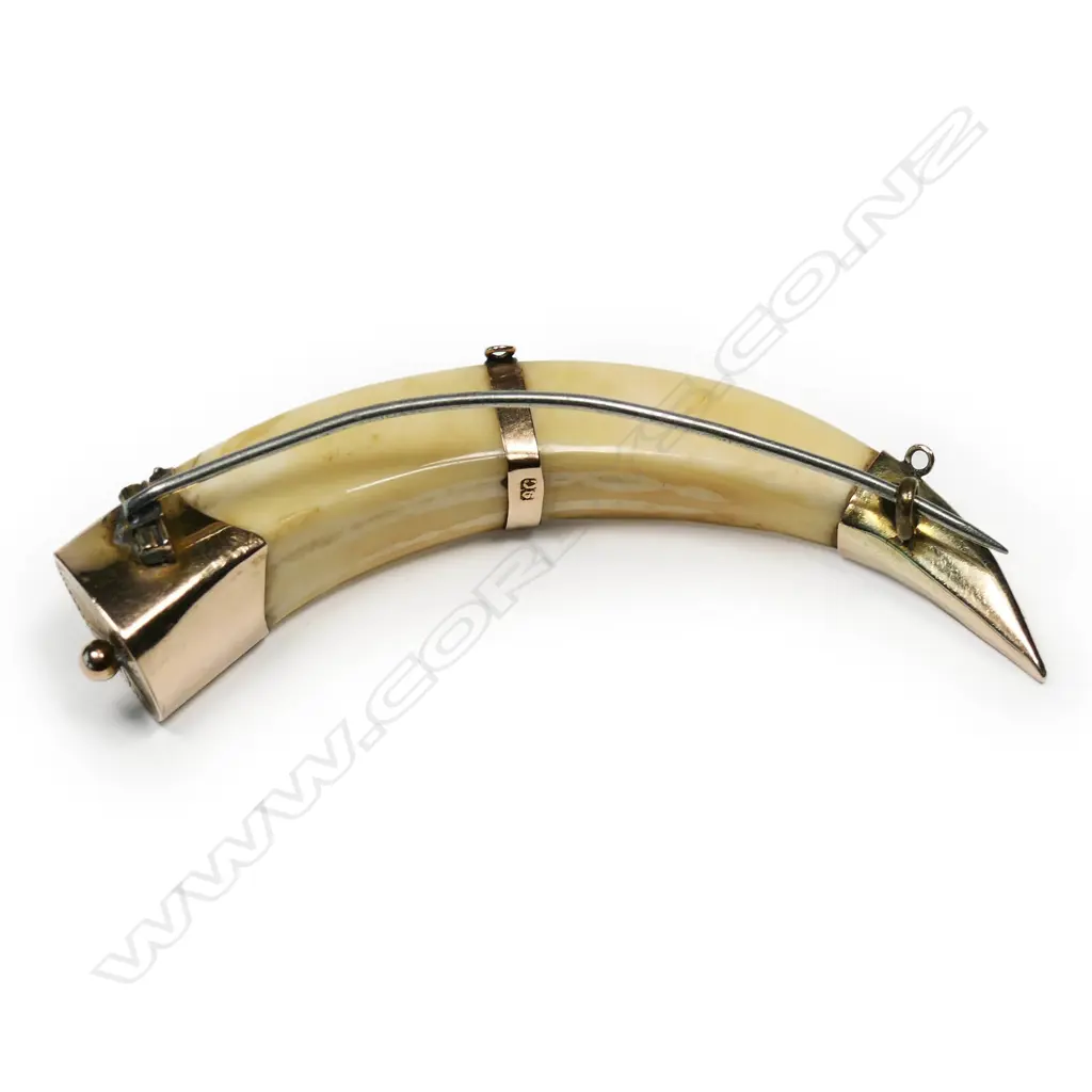 9CT ANTIQUE NZ BOAR TUSK BROOCH, L.75mm Image 1++