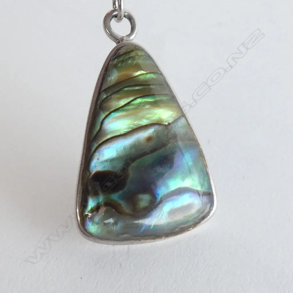 SILVER AND PAUA PENANT Image 1++