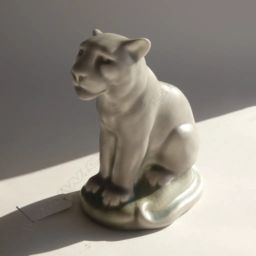A Royal Lancastrian cougar Image 1++