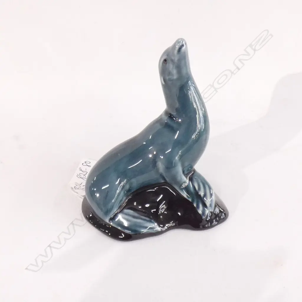 A Poole seal on a rock Image 1++