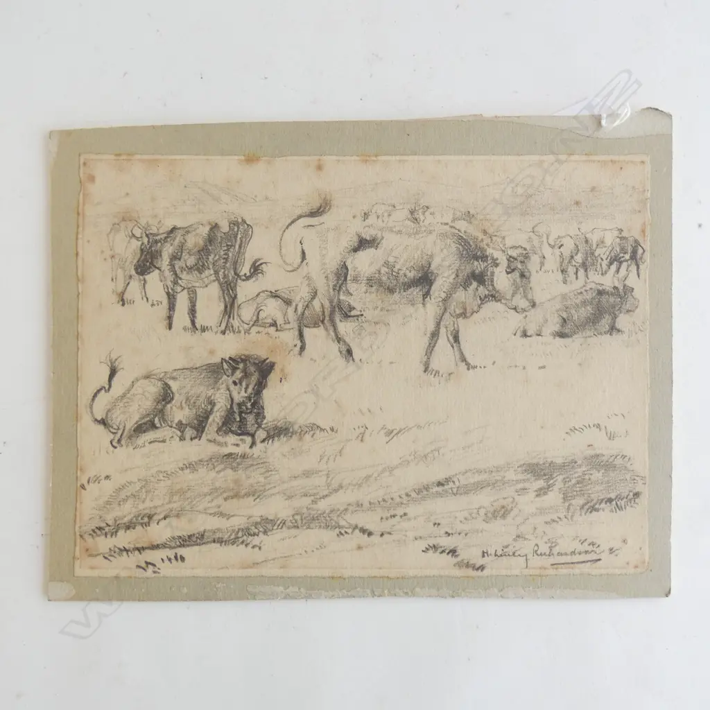 H. L. RICHARDSON SKETCH CATTLE SIGNED 185 X 250mm Image 1++