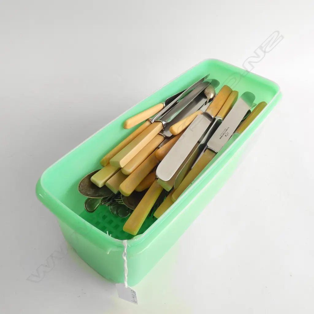 CONTAINER VINTAGE CUTLERY INCL BONE/ CELLULOID HANDLE KNIVES Image 1++