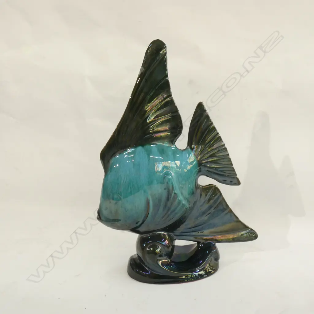 LG BLUE MOUNTAIN ANGELFISH H 400MM Image 1++