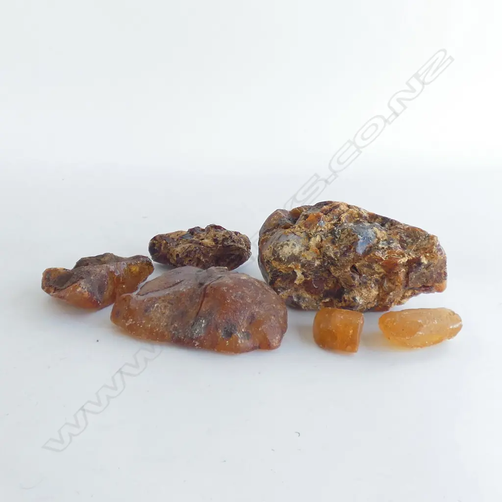 BOX KAURI GUM NUGGETS - LARGEST L 160MM Image 1++
