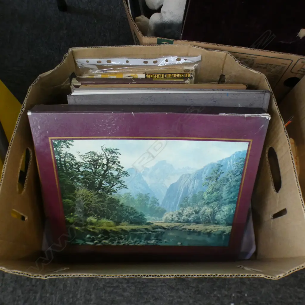 BOX LOT BOOKS; EARLY NZ ART Image 1++