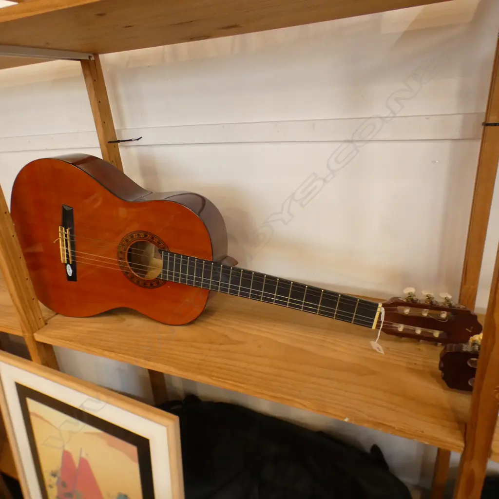 VALENCIA ACOUSTIC GUITAR w SOFT CASE Image 1++