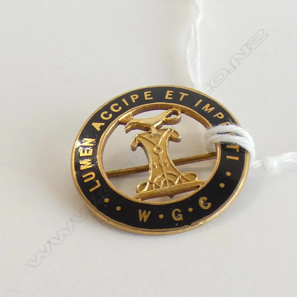 9CT WELLINGTON GIRL'S COLLEGE BADGE 'LUMEN ACCIPE...' Image 1++