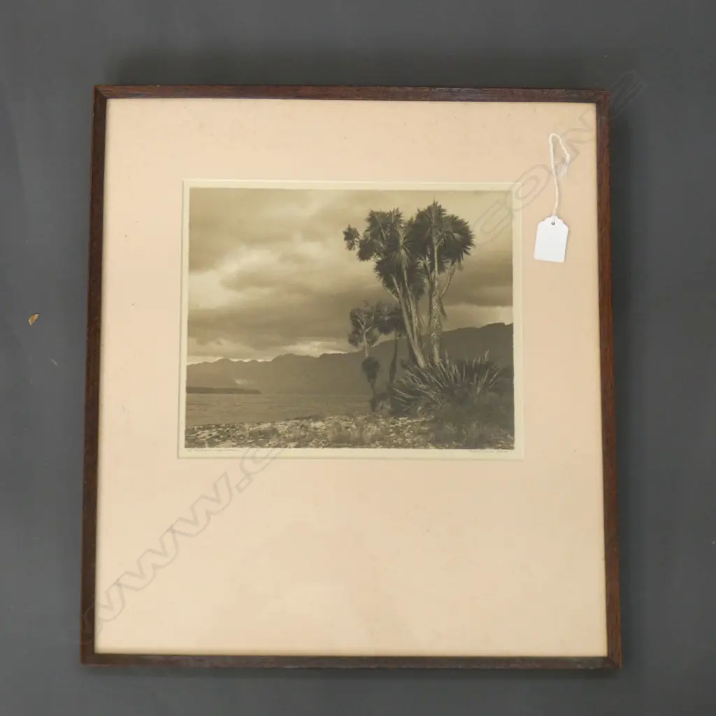 GEORGE CHANCE B&W VINTAGE PHOTO 'THE SENTLENELS LAKE HAWEA' Image 1++