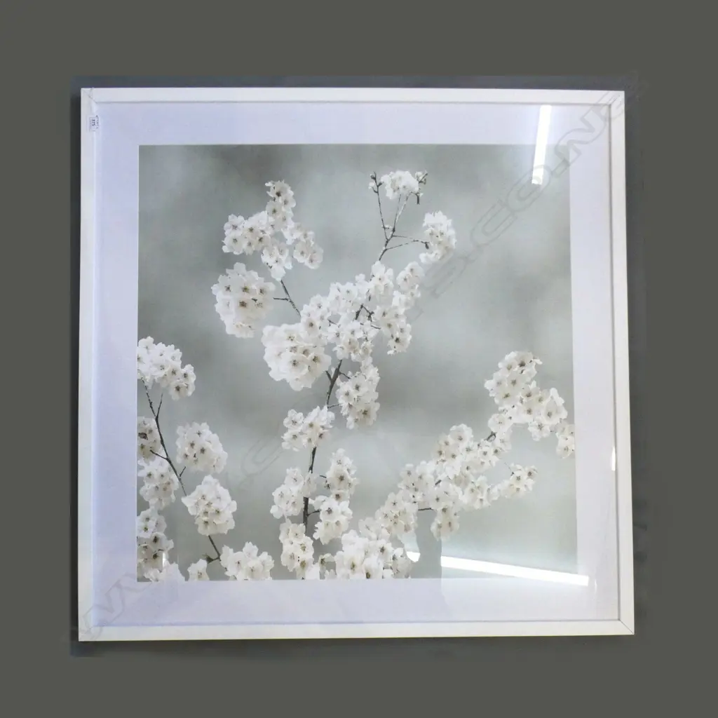 BLOSSOM PRINT 800x800mm Image 1++