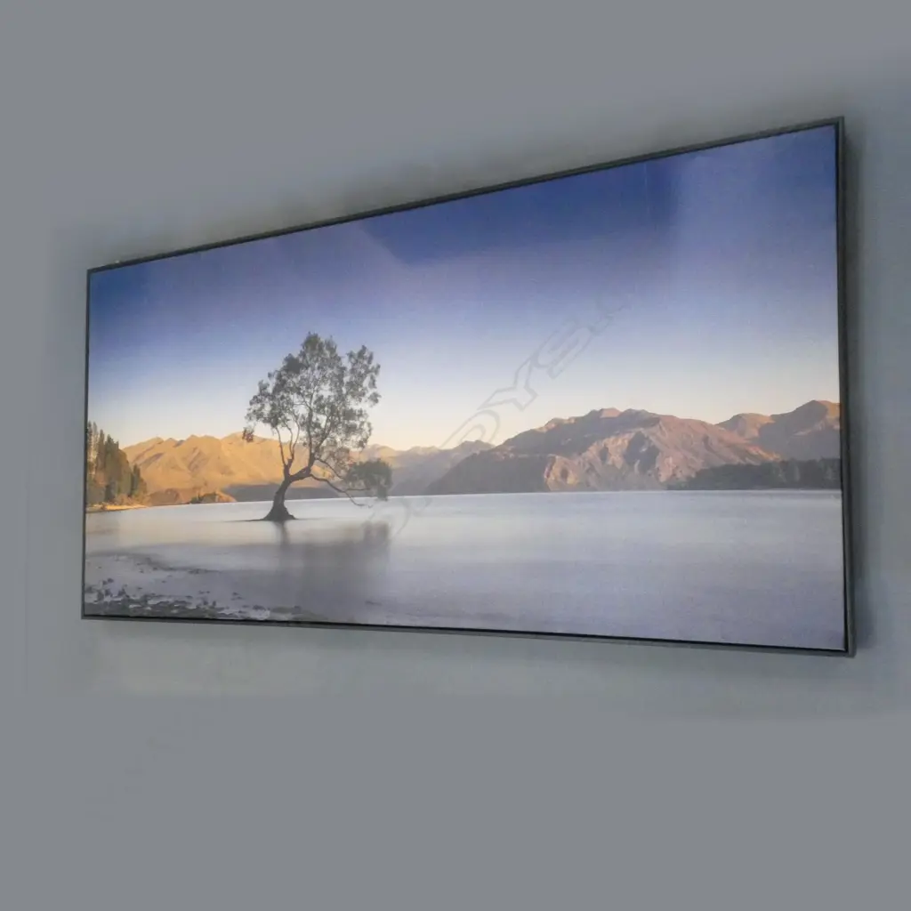 WILLOW TREE IN WANAKA PHOTO PRINT 680x1380mm Image 1++