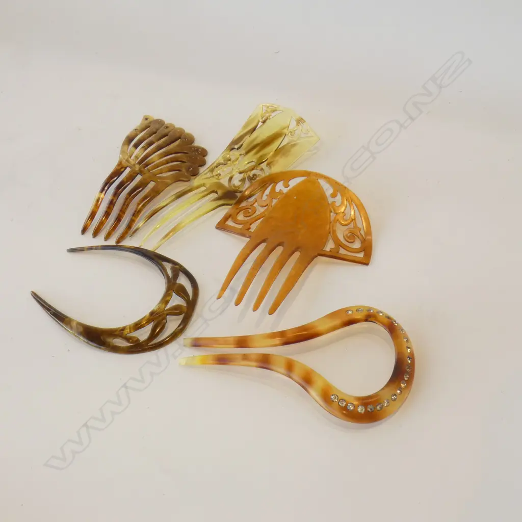 5 ASST VINTAGE COMBS - LARGEST L 140MM Image 1++