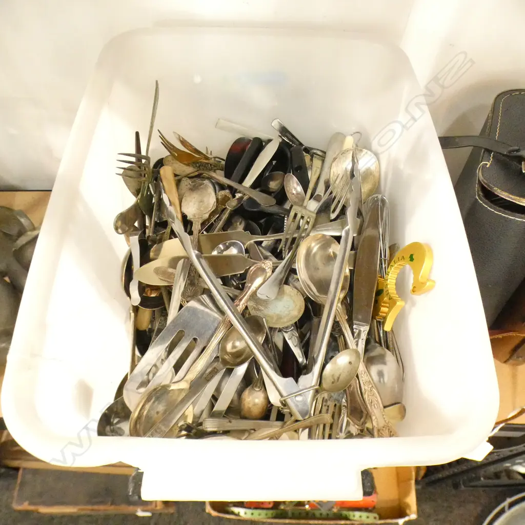LGE BOX SILVER PLATE & OTHER CUTLERY Image 1++