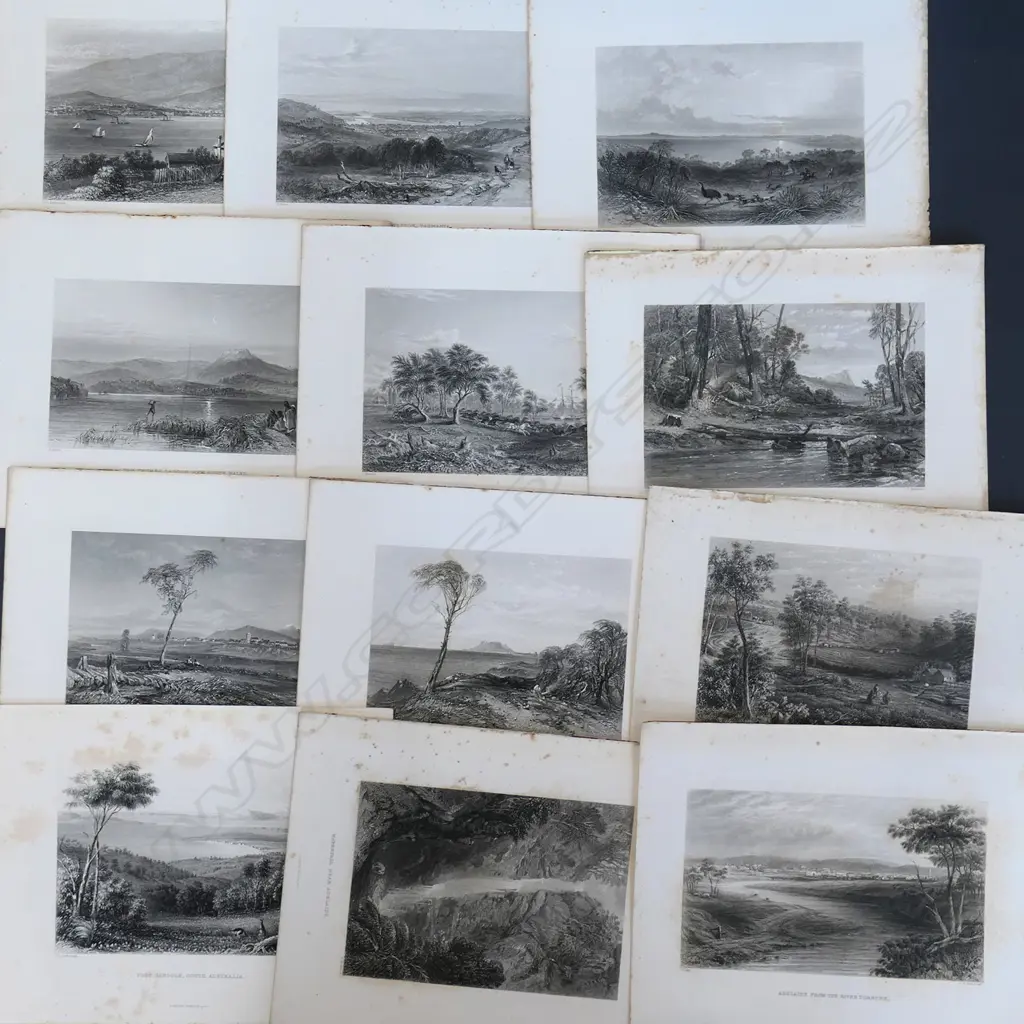 12 PROUT & BRAINES ENGRAVINGS OF AUSTRALIA 1860 Image 1++
