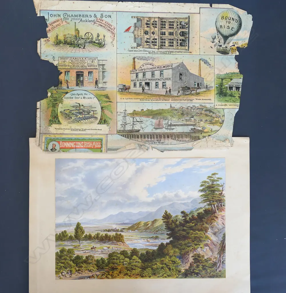 CHROMOLITHOGRAPH EARLY AUCKLAND BUSINESSES 1889 AF 300x400mm + LANDSCAPE PRINT  Image 1++