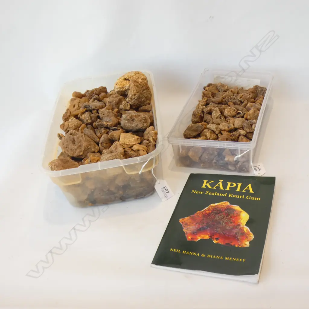 2 TRAYS OF KAURI GUM AMBER + BOOKLET Image 1++