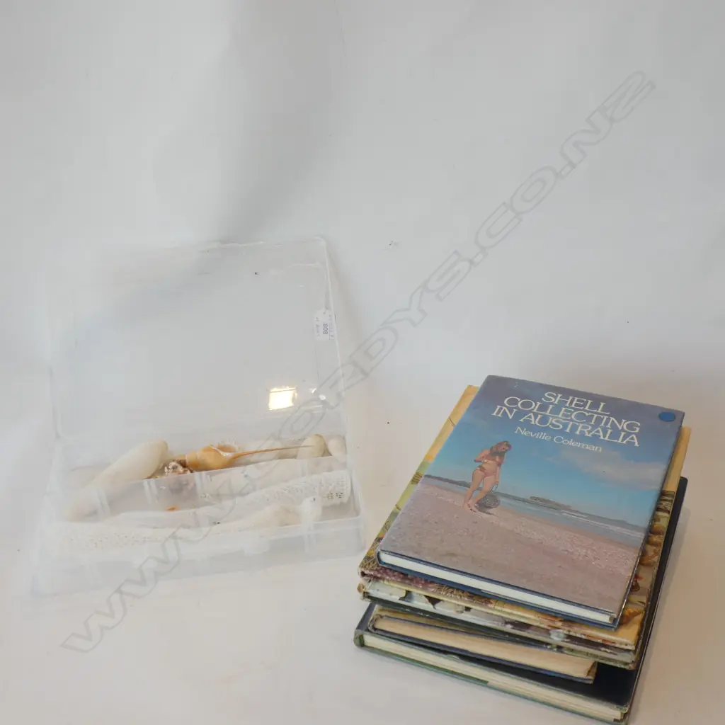 5 BOOKS ABOUT SHELLS + TRAY OF ASST. SHELLS Image 1++