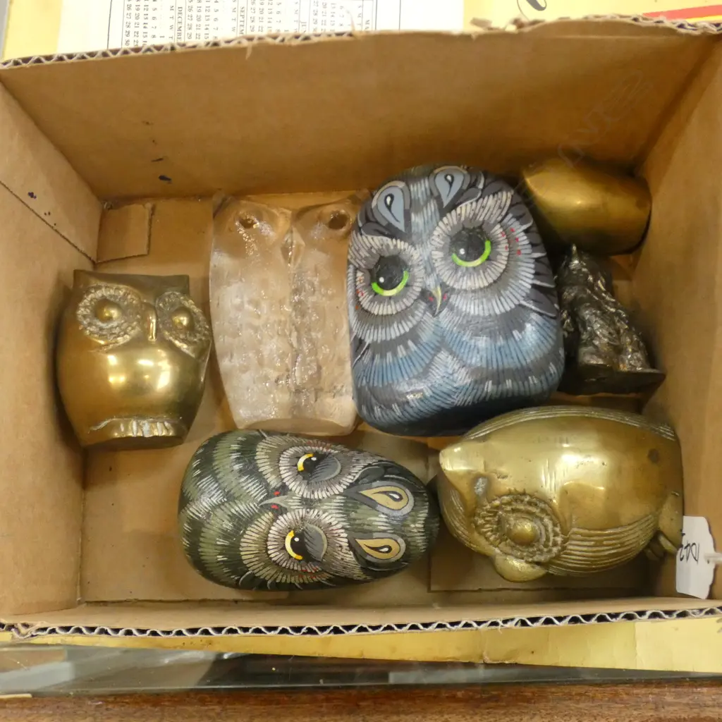 BOX LOT OWL ORNAMENTS Image 1++