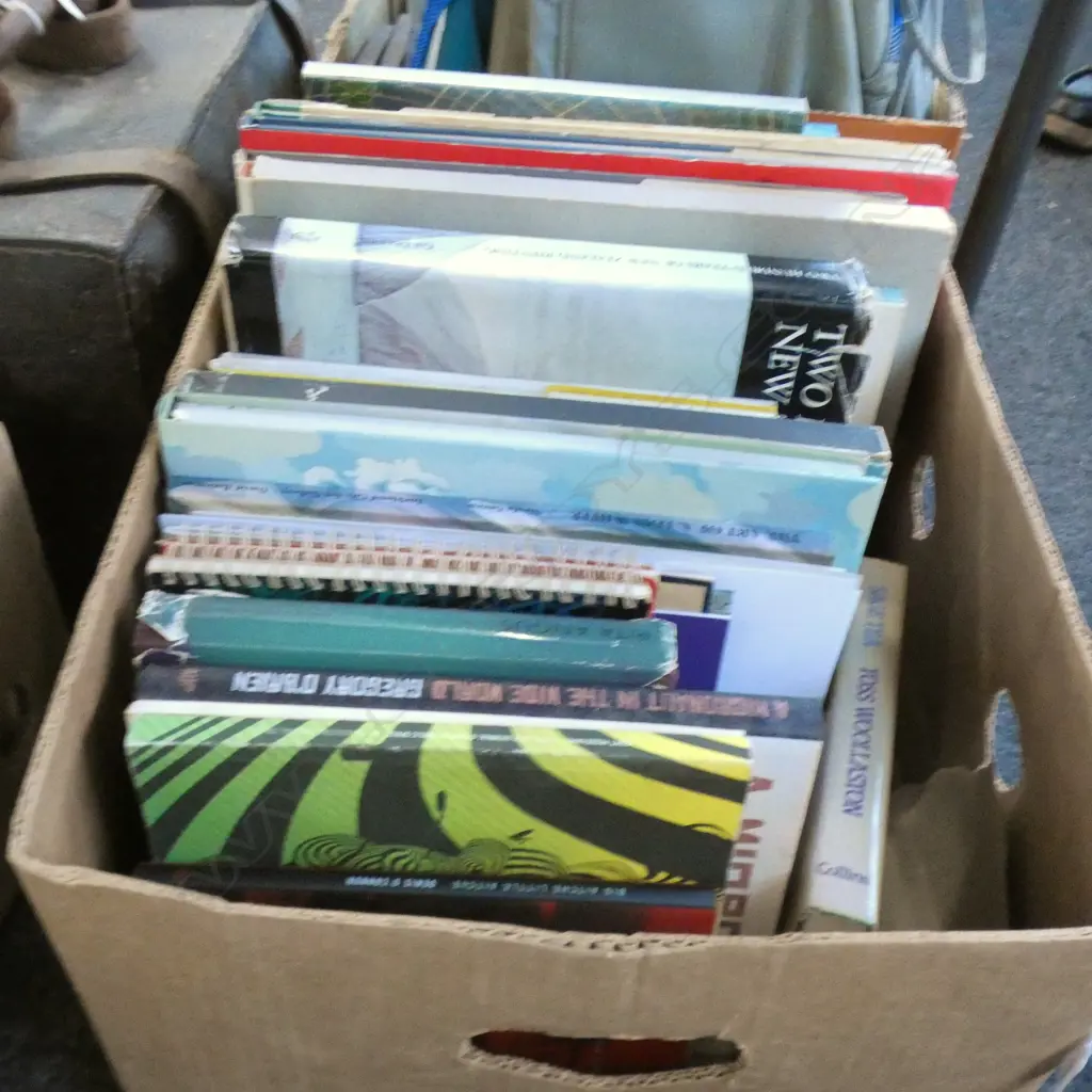 BOX LOT BOOKS; NZ ART Image 1++