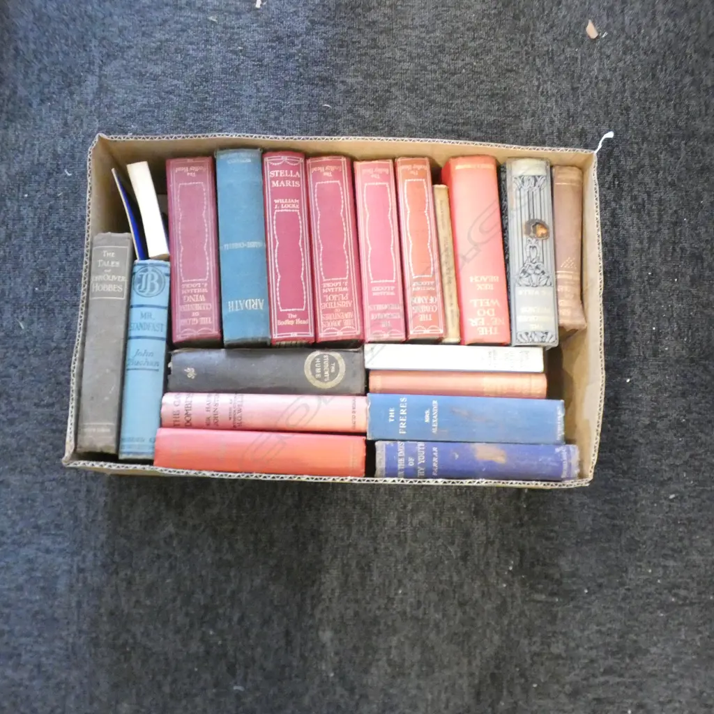 BOX LOT ANTIQUE BOOKS EX HIGHWIC HOUSE Image 1++