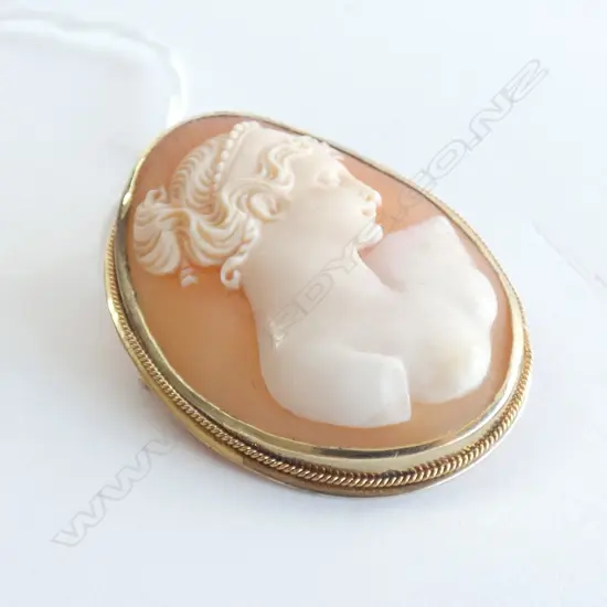 GOLD PLATED FRAMED CAMEO BROOCH